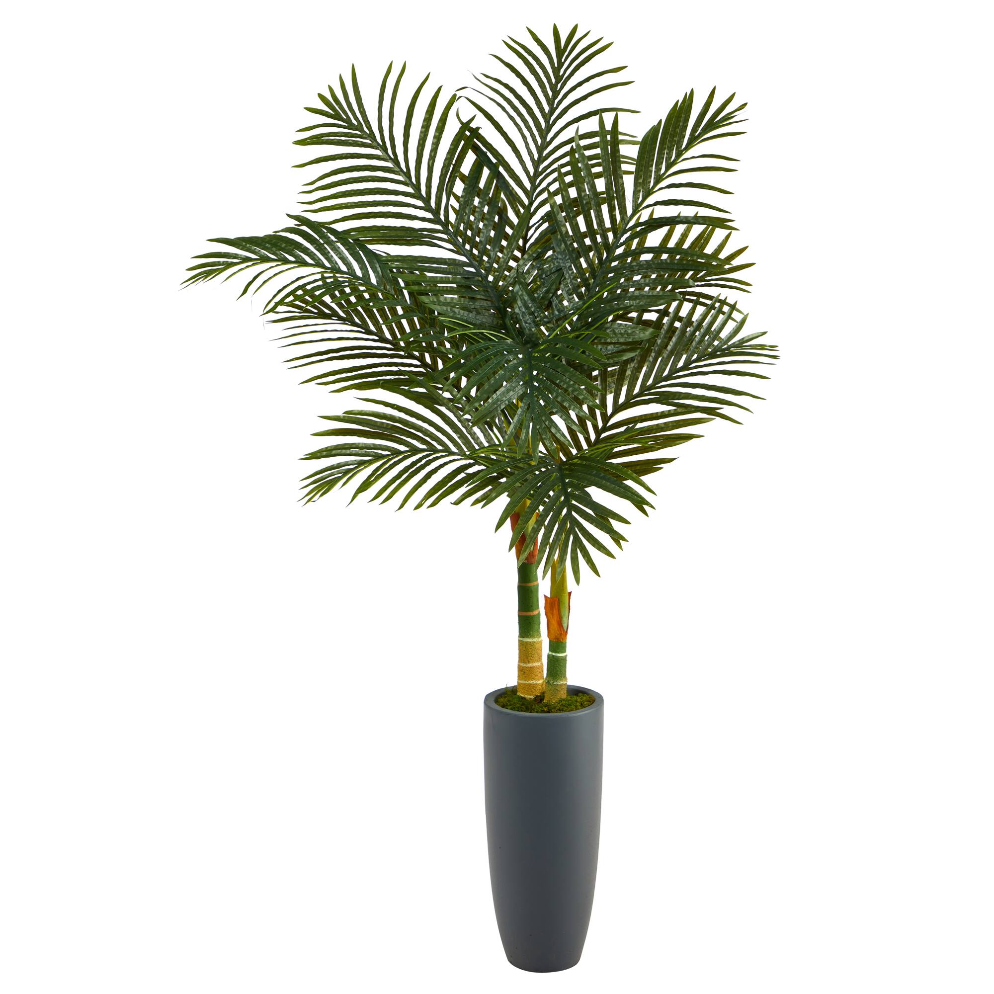4.8ft. Golden Cane Palm Tree in Tall Gray Planter
